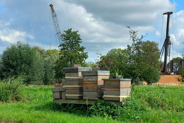 Bijenstand Jaarsveld